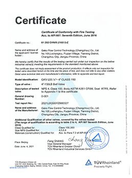 TUV API607-Cert