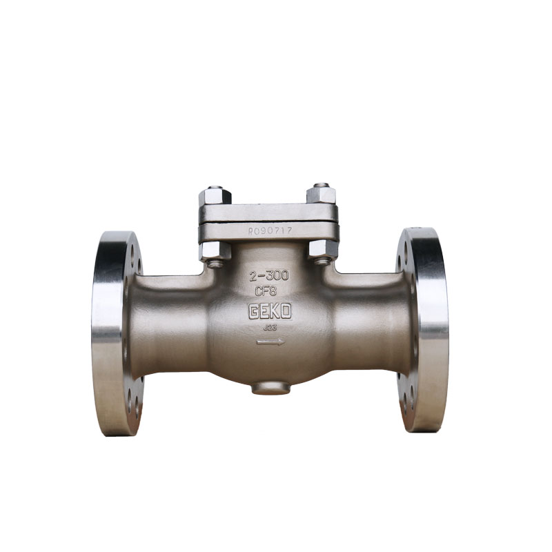 Stainless Steel Vertical and Swing Check Valves