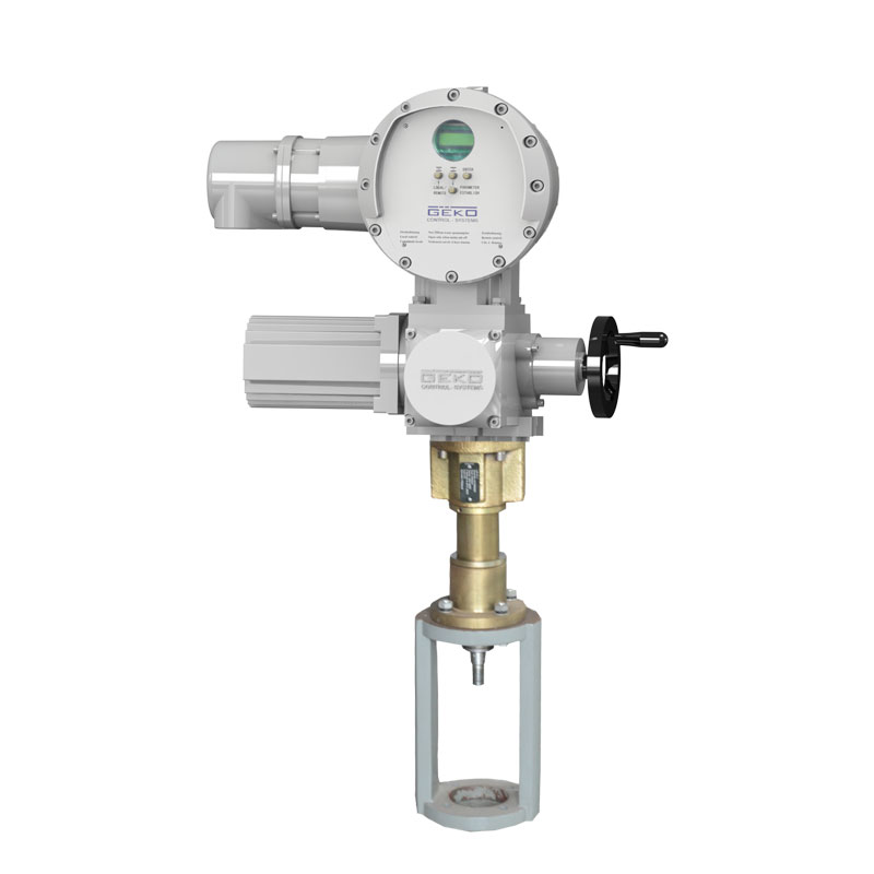 Integrated electric actuator with on-site control