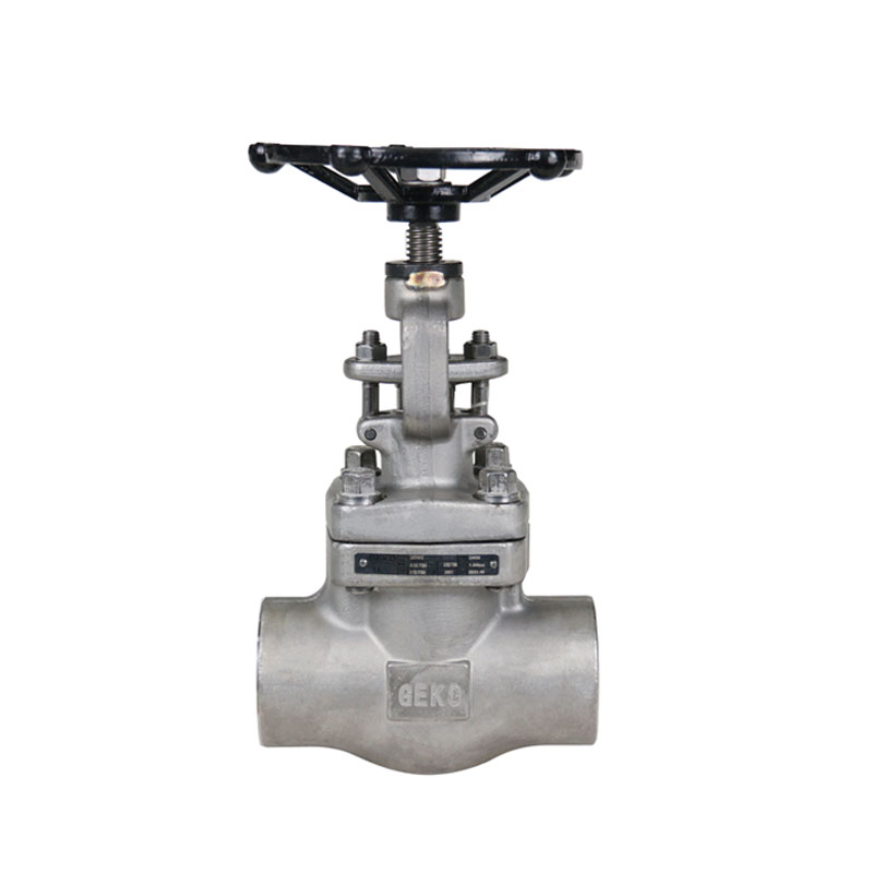 Forged Globe Valve