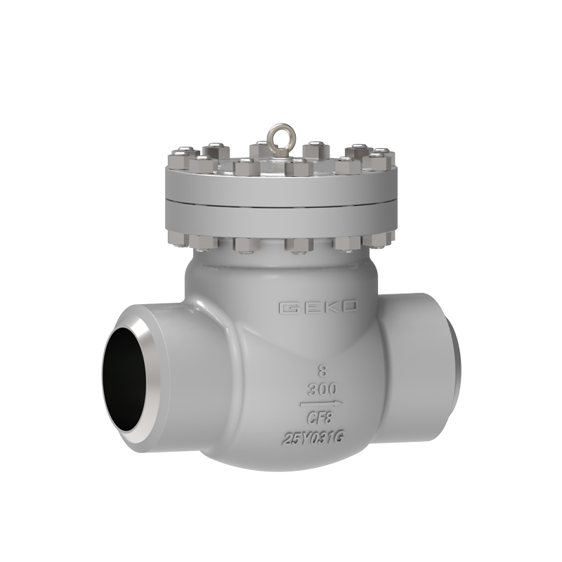 Low temperature check valve with flange connection